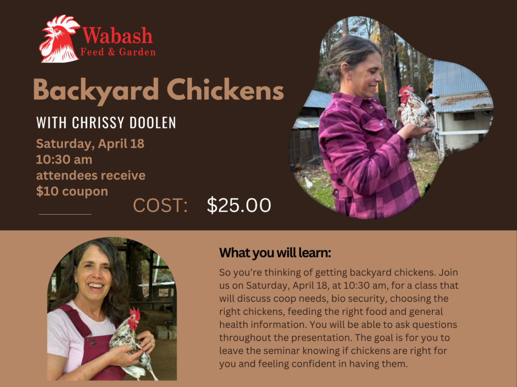 4 18 25 chicken talk flyer (2016 x 1512 px)