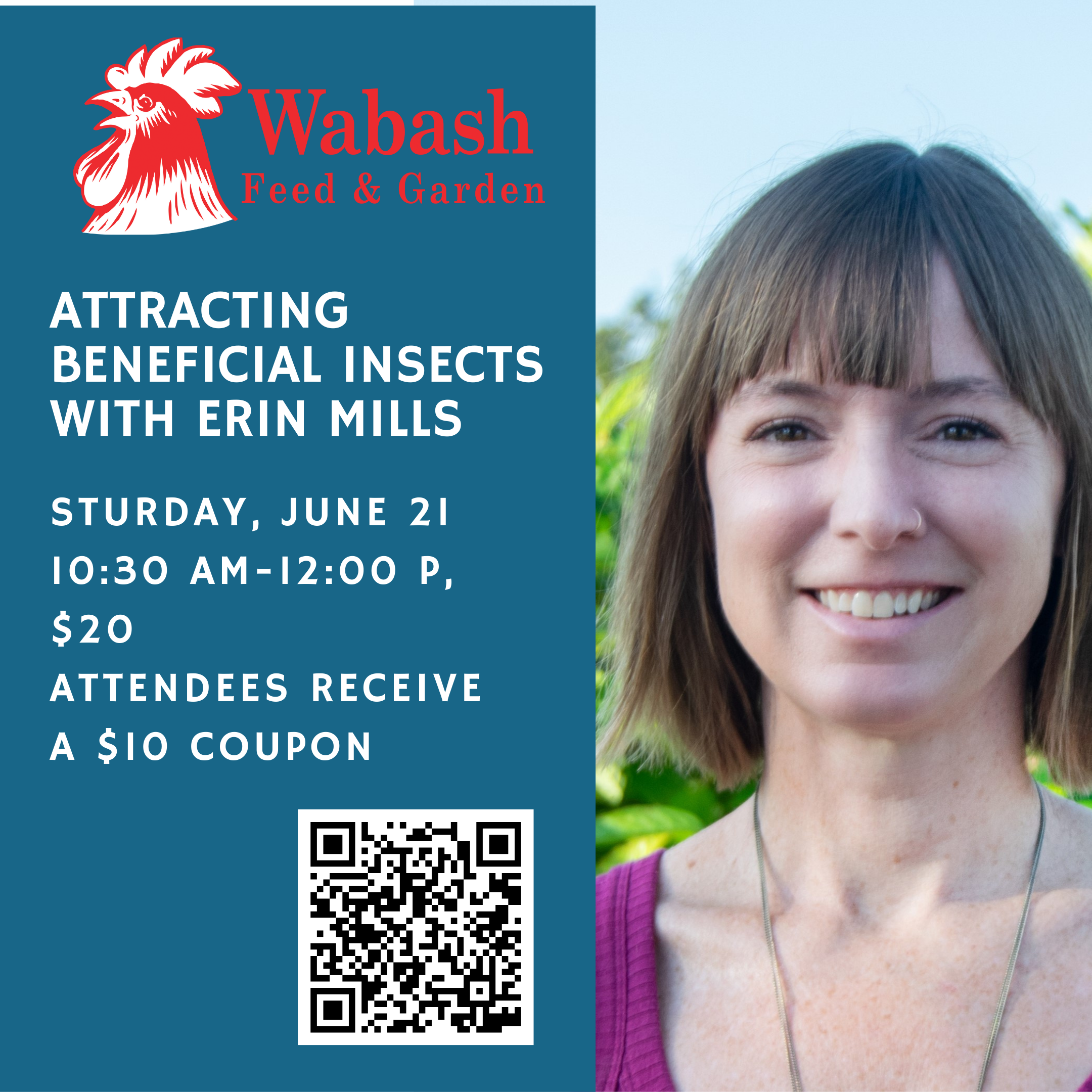 Attracting Beneficial Insects enews (2160 x 2160 px)
