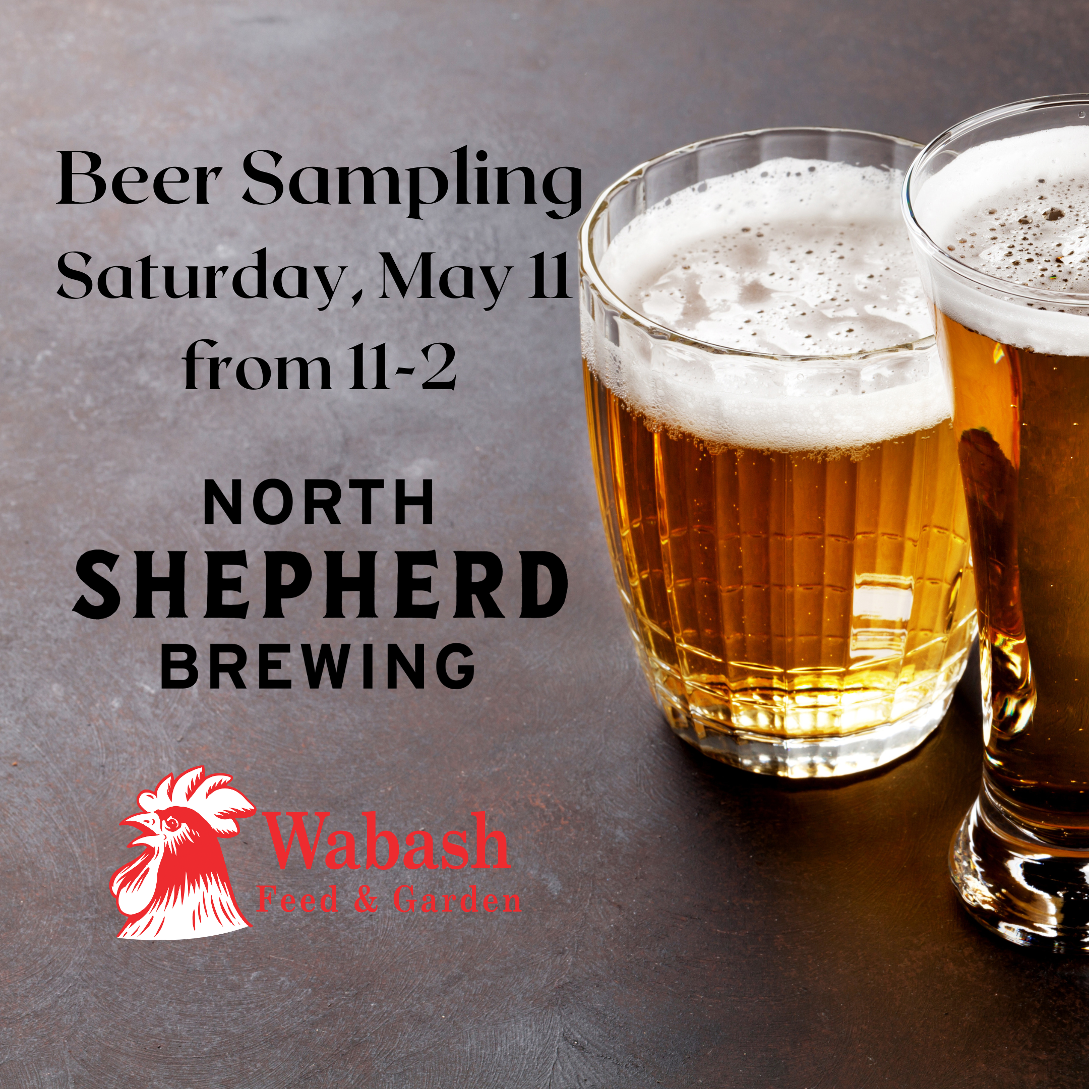 Beer Sampling (4)