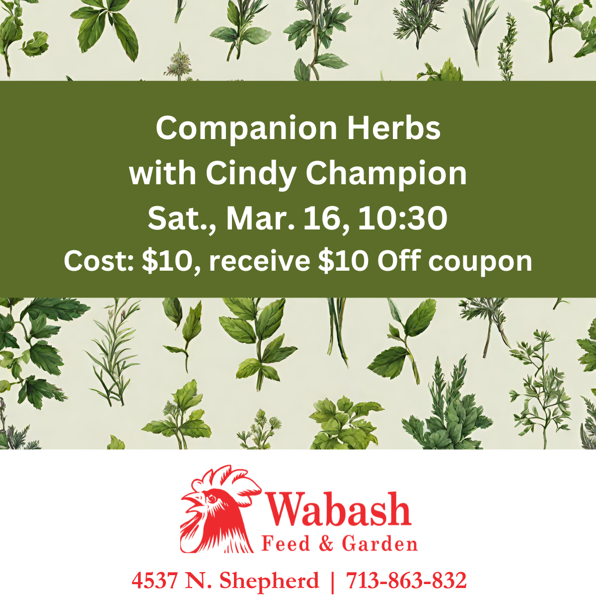 Companion Herbs with Cindy Champion (1)