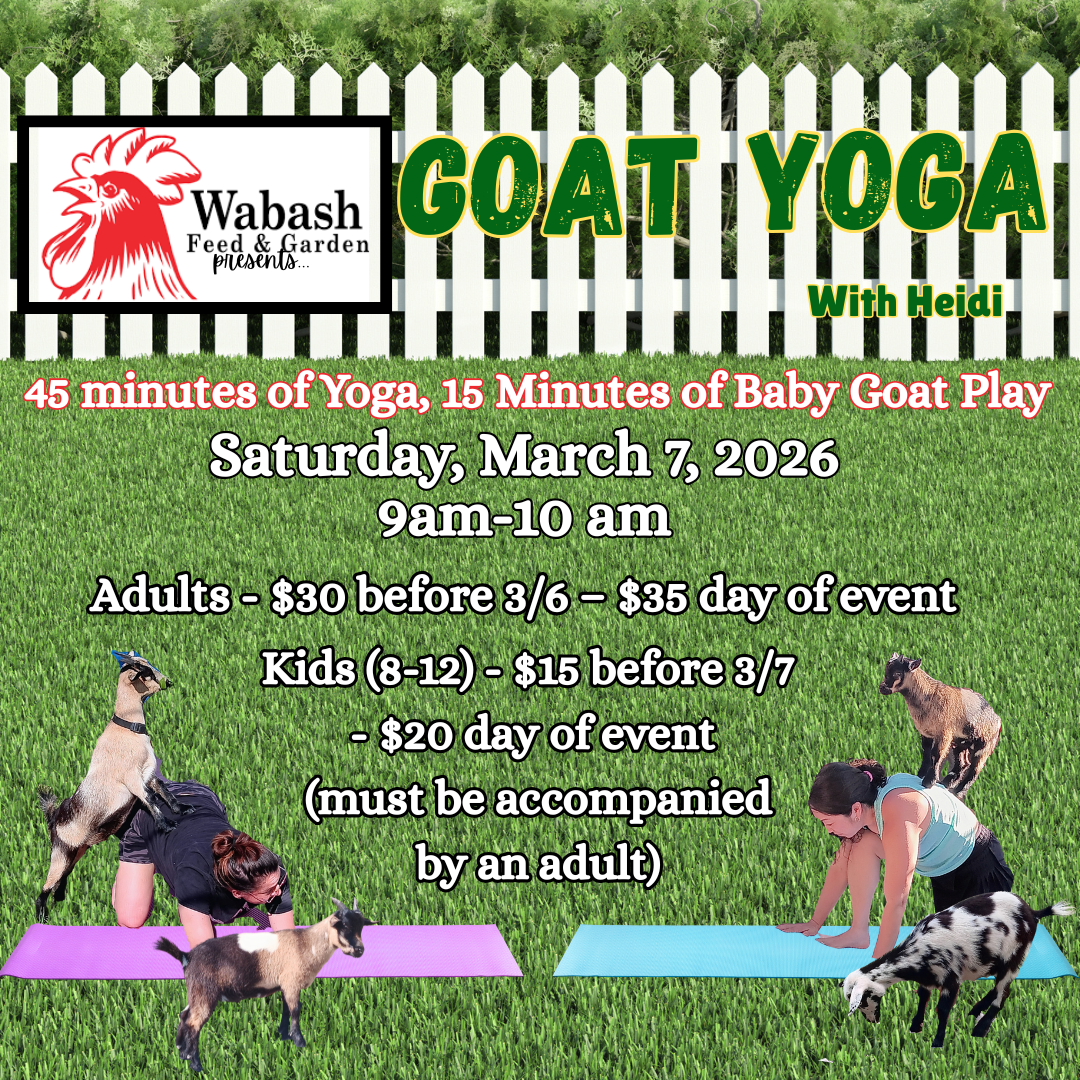 Goat Yoga (1080 x 1080 px)