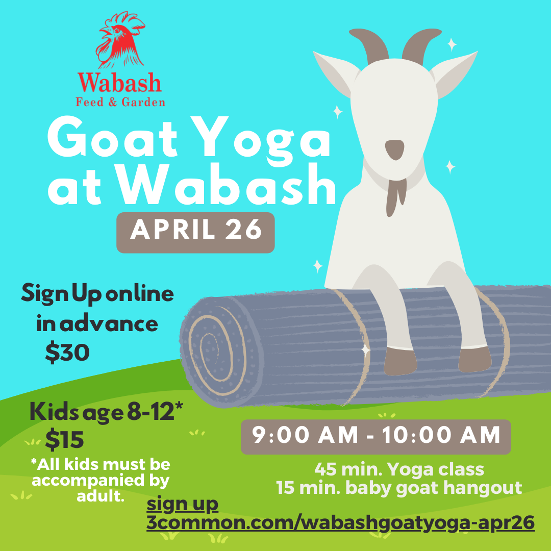 Goat Yoga IG 4.26