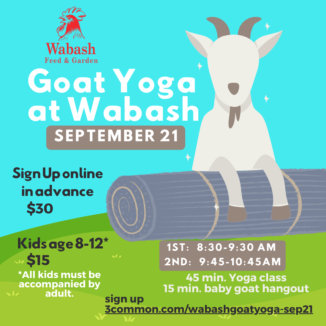 Goat Yoga IG 9.21