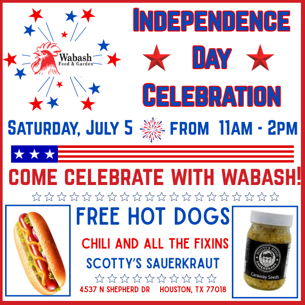 Independence Day Celebration