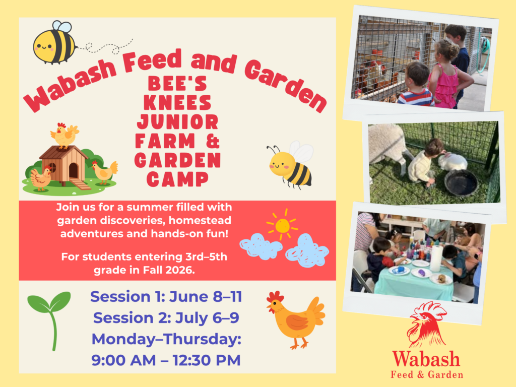 Bee's Knees Junior Farm & Garden Summer Camp