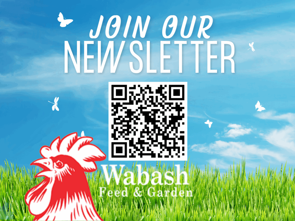 Newsletter Sign Up