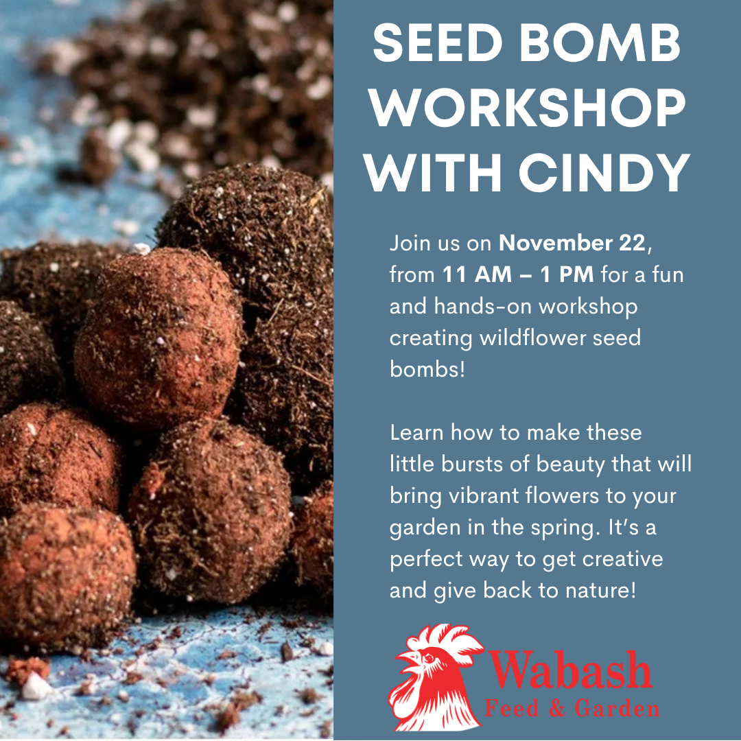 Seed Bomb Workshop 11 22 25