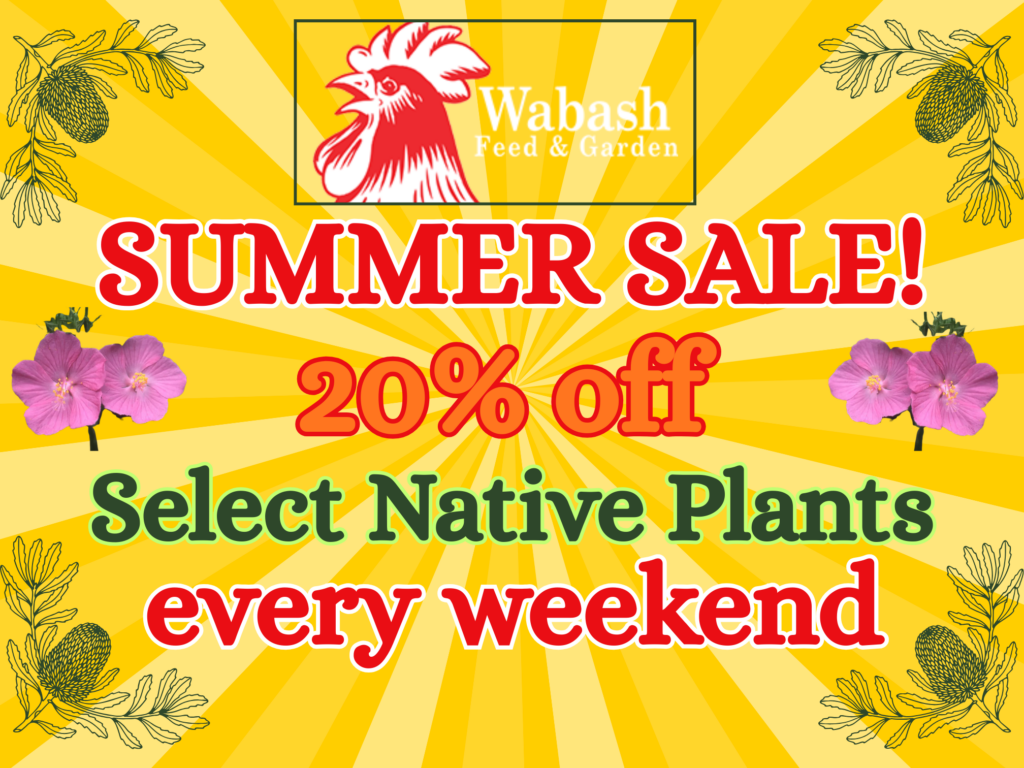 Select Natives Summer Sale Sale (2016 x 1512 px) Select Natives Summer Weekend Sale Sale