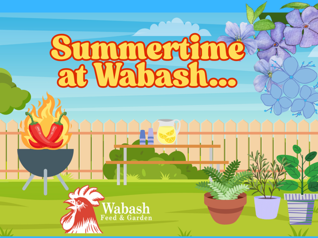 Summertime at Wabash (2016 x 1512 px) (2)