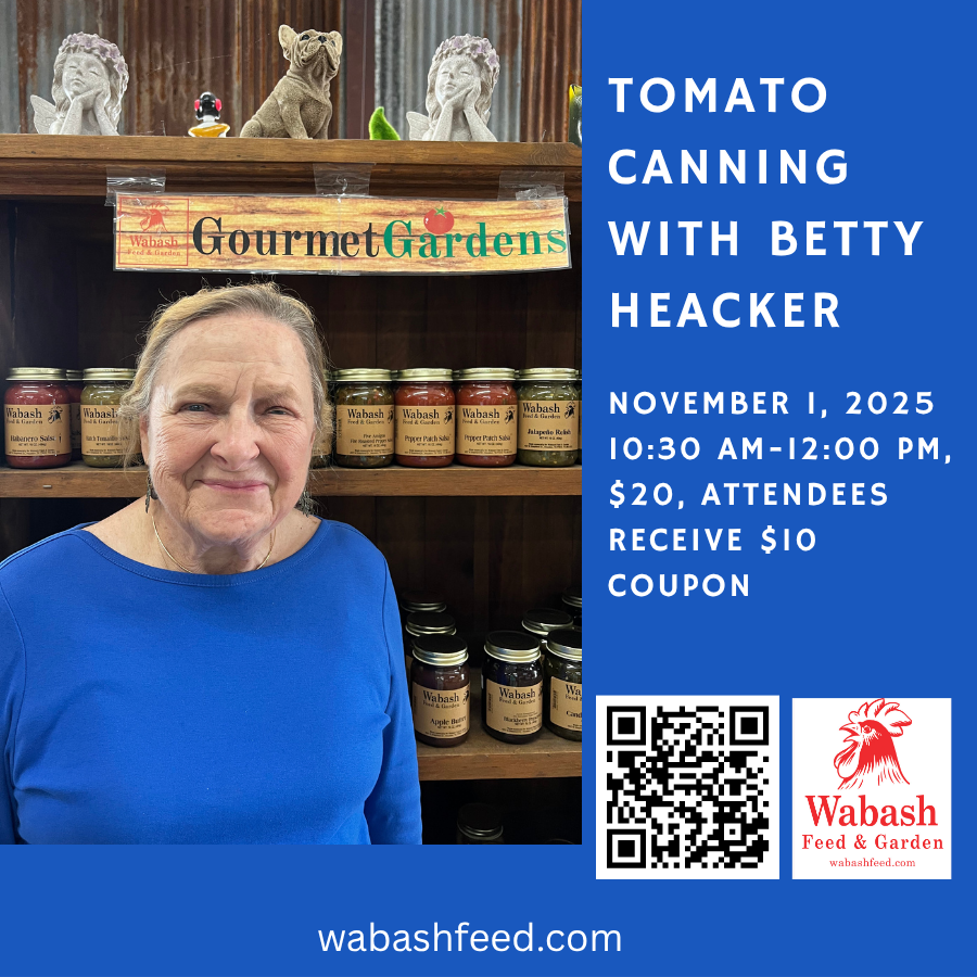Tomato Canning (900 x 900 px)