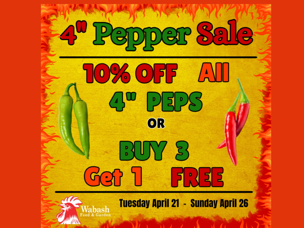 Pepper sale