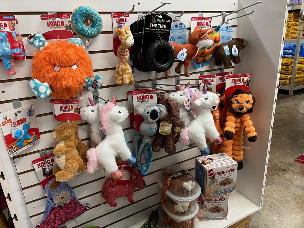 Pet Store Houston Pets, Pet Supplies & Pet Meds